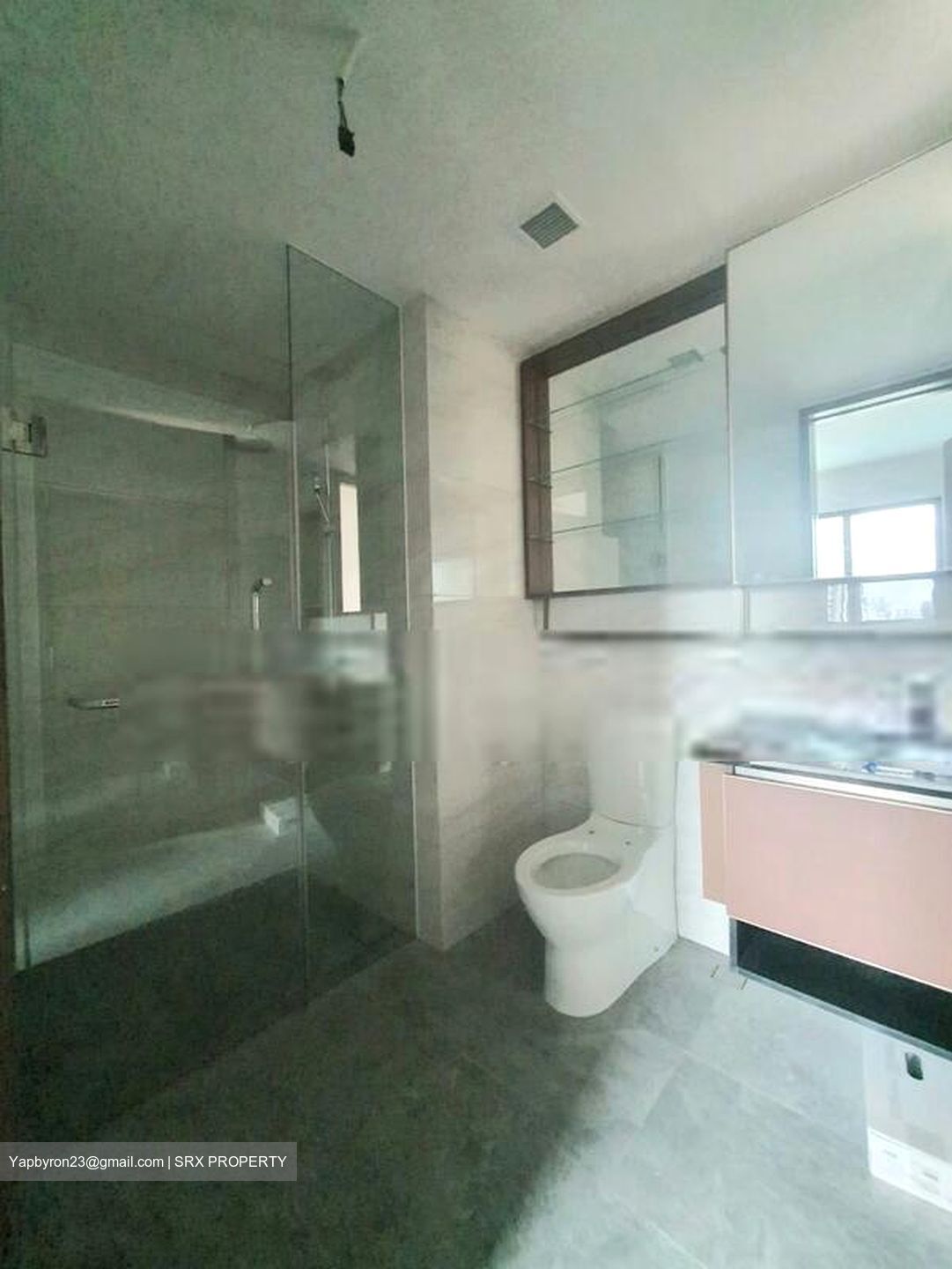 Normanton Park (D5), Apartment #604371191